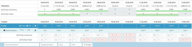 Datei:Project planning options type 3.JPG